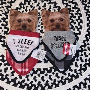 2 Pet Bandanas